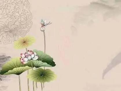 男士的最好养生时间